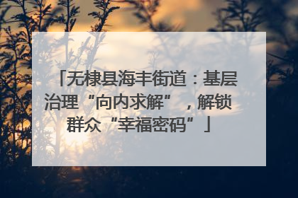 无棣县海丰街道：基层治理“向内求解”，解锁群众“幸福密码”
