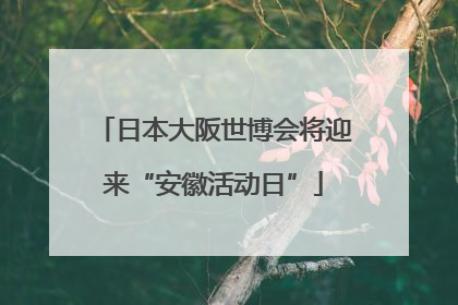 日本大阪世博会将迎来“安徽活动日”