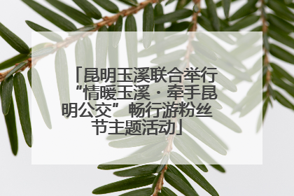 昆明玉溪联合举行“情暖玉溪・牵手昆明公交”畅行游粉丝节主题活动