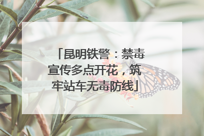昆明铁警：禁毒宣传多点开花，筑牢站车无毒防线