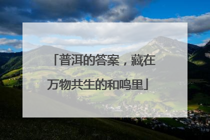 普洱的答案，藏在万物共生的和鸣里