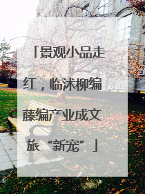 景观小品走红，临沭柳编藤编产业成文旅“新宠”