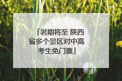 暑期将至 陕西省多个景区对中高考生免门票