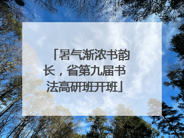 暑气渐浓书韵长，省第九届书法高研班开班