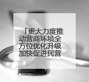 更大力度推动营商环境全方位优化升级加快促进民营经济持续健康高质量发展
