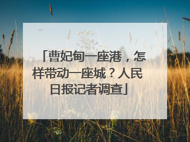 曹妃甸一座港，怎样带动一座城？人民日报记者调查