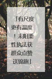 有尺度更有温度！耒阳柔性执法获群众点赞送锦旗