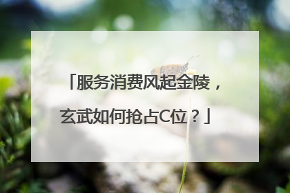 服务消费风起金陵，玄武如何抢占C位？