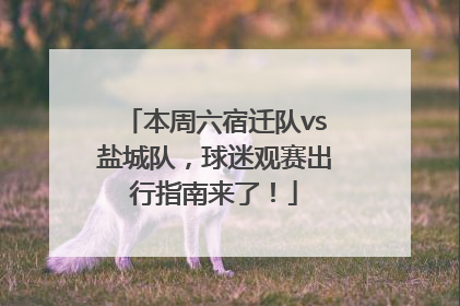 本周六宿迁队vs盐城队，球迷观赛出行指南来了！