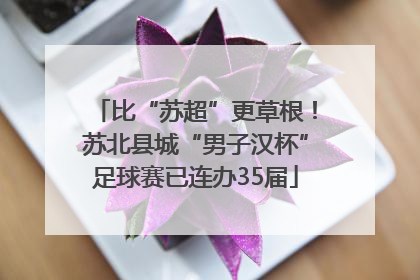 比“苏超”更草根！苏北县城“男子汉杯”足球赛已连办35届