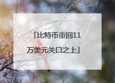 比特币重回11万美元关口之上