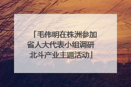 毛伟明在株洲参加省人大代表小组调研北斗产业主题活动