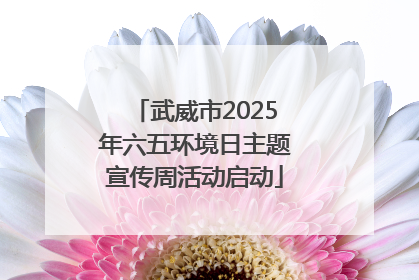 武威市2025年六五环境日主题宣传周活动启动