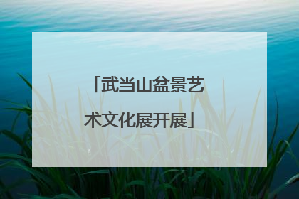武当山盆景艺术文化展开展