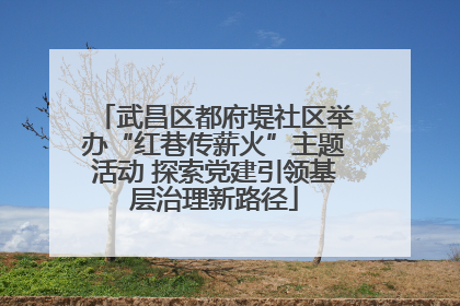 武昌区都府堤社区举办“红巷传薪火”主题活动 探索党建引领基层治理新路径