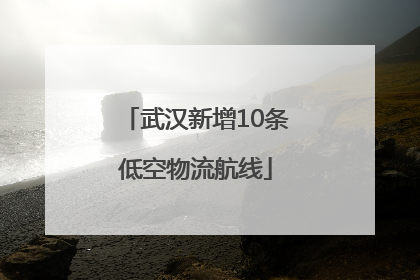 武汉新增10条低空物流航线