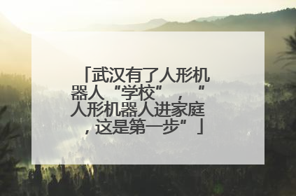 武汉有了人形机器人“学校”，“人形机器人进家庭，这是第一步”