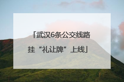 武汉6条公交线路挂“礼让牌”上线
