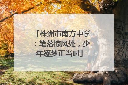 株洲市南方中学：笔落惊风处，少年逐梦正当时