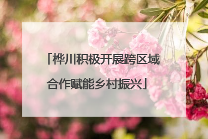 桦川积极开展跨区域合作赋能乡村振兴