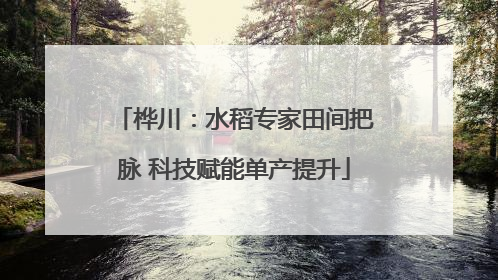 桦川：水稻专家田间把脉 科技赋能单产提升