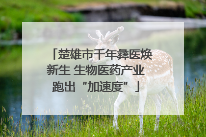楚雄市千年彝医焕新生 生物医药产业跑出“加速度”