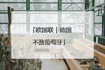欧国联｜德国不敌葡萄牙