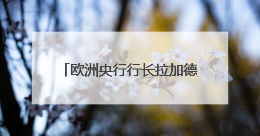 欧洲央行行长拉加德试乘点赞：萝卜快跑下一站出海欧洲？