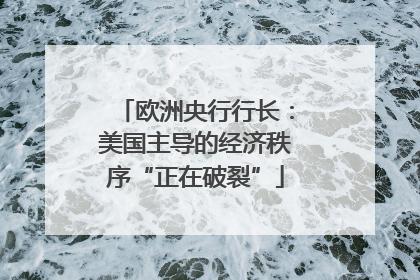 欧洲央行行长：美国主导的经济秩序“正在破裂”