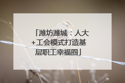 潍坊潍城：人大+工会模式打造基层职工幸福圈