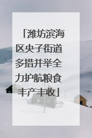 潍坊滨海区央子街道多措并举全力护航粮食丰产丰收
