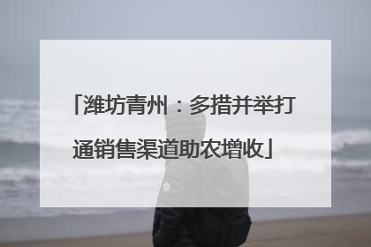 潍坊青州：多措并举打通销售渠道助农增收