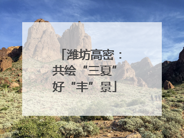 潍坊高密：共绘“三夏”好“丰”景