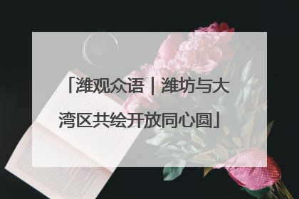 潍观众语｜潍坊与大湾区共绘开放同心圆