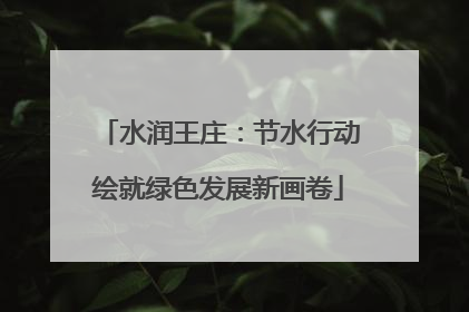 水润王庄：节水行动绘就绿色发展新画卷