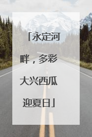永定河畔，多彩大兴西瓜迎夏日