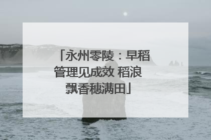 永州零陵：早稻管理见成效 稻浪飘香穗满田