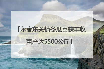 永春东关镇冬瓜喜获丰收 亩产达5500公斤