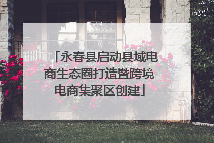永春县启动县域电商生态圈打造暨跨境电商集聚区创建