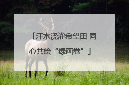 汗水浇灌希望田 同心共绘“绿画卷”