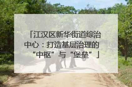 江汉区新华街道综治中心：打造基层治理的“中枢”与“堡垒”