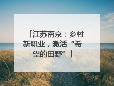 江苏南京：乡村新职业，激活“希望的田野”