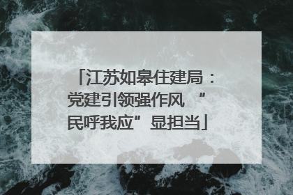 江苏如皋住建局：党建引领强作风 “民呼我应”显担当