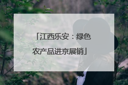 江西乐安：绿色农产品进京展销