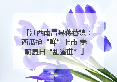 江西南昌县蒋巷镇：西瓜抢“鲜”上市 奏响夏日“甜蜜曲”