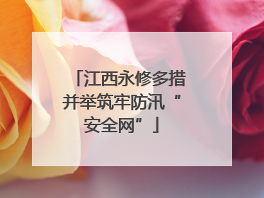江西永修多措并举筑牢防汛“安全网”