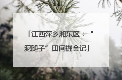 江西萍乡湘东区：“泥腿子”田间掘金记