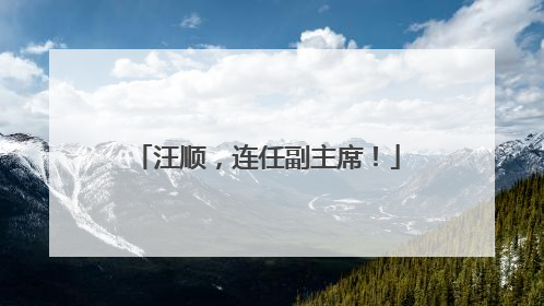 汪顺，连任副主席！