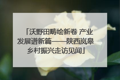 沃野田畴绘新卷 产业发展谱新篇——陕西岚皋乡村振兴走访见闻