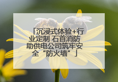 沉浸式体验+行业定制 石首消防助供电公司筑牢安全“防火墙”